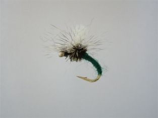 Size 18 Klinkhamer Green